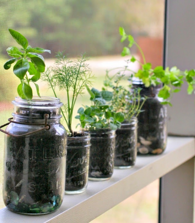 MasonJarz Jar Gardens