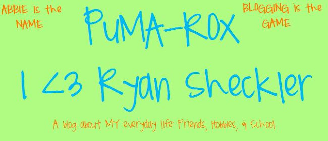 Puma-Rox I love Ryan Sheckler