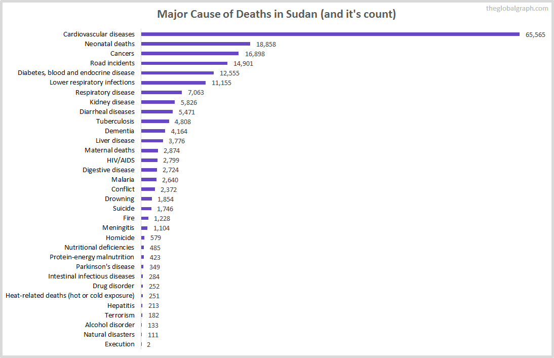 Major Cause of Deaths in Sudan (and it's count)
