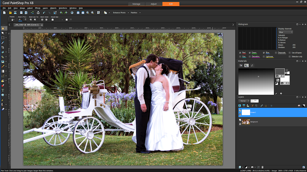 Paint Shop Pro Color Picker