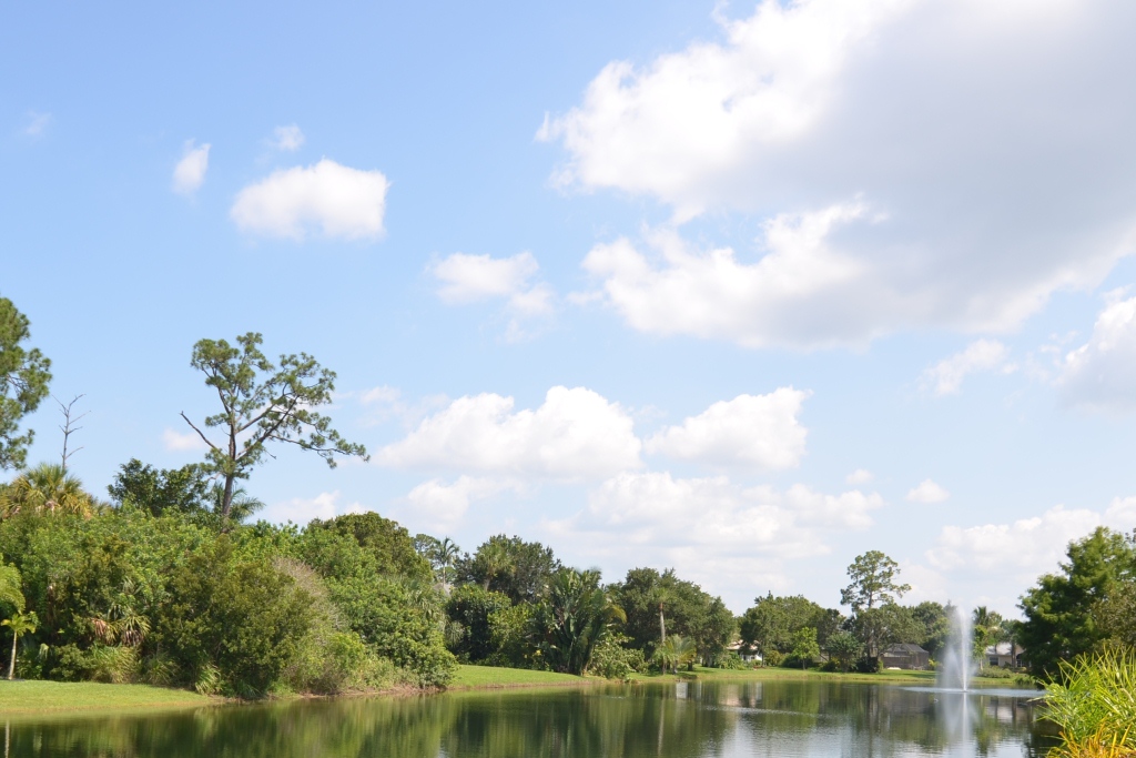 For Sale Sylvan Beach at Thomas Meyers blog