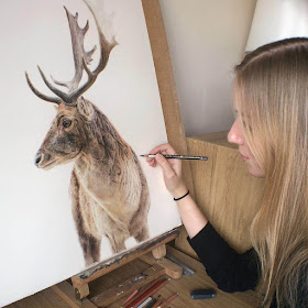 04-Stag-Danielle-Fisher-Realistic-Animal-Portrait-Pastel-Drawings-www-designstack-co