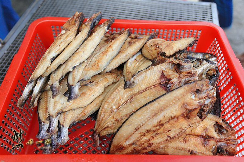花蓮豐濱鄉磯崎部落一起飛魚磯崎原民料理生活技能部落傳統舞蹈晚宴活動