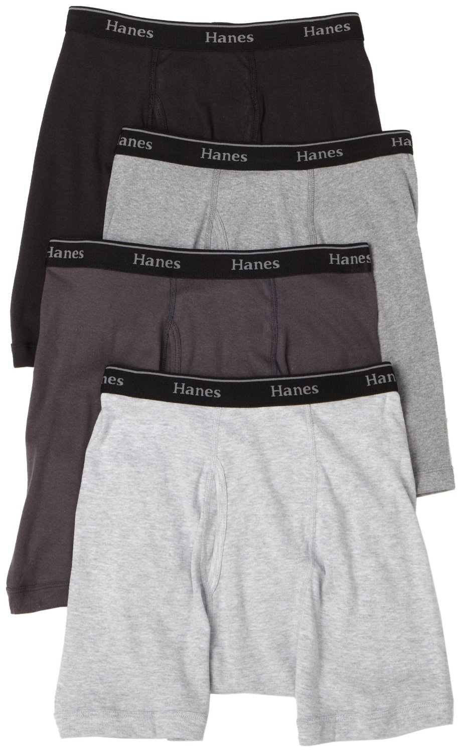 Sexy Lita Hanes Classics 4Pack Multi Color Underwear