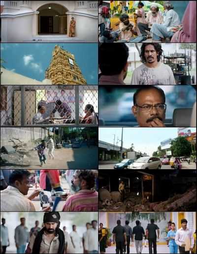 worldfree4u Full Movie Download 300mb