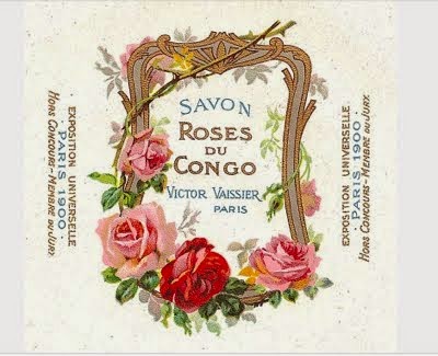 Roses du Congo