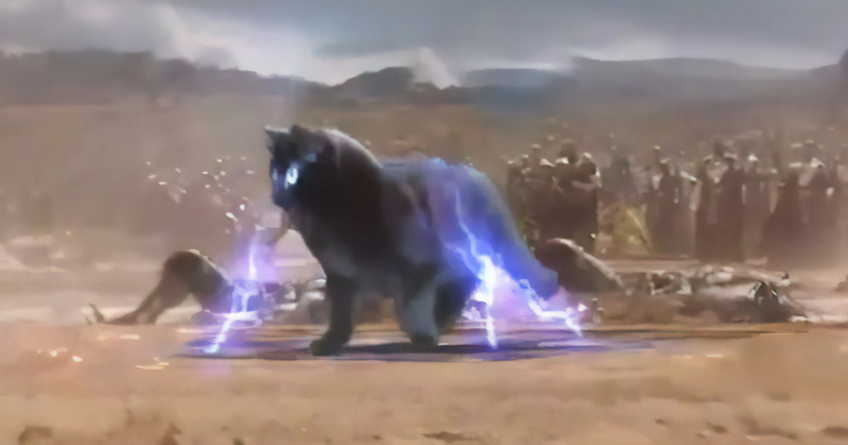 Adorable Cat Goes Viral By 'Starring' In Popular Hollywood Films Adorable Cat Goes Viral By 'Starring' In Popular Hollywood Films