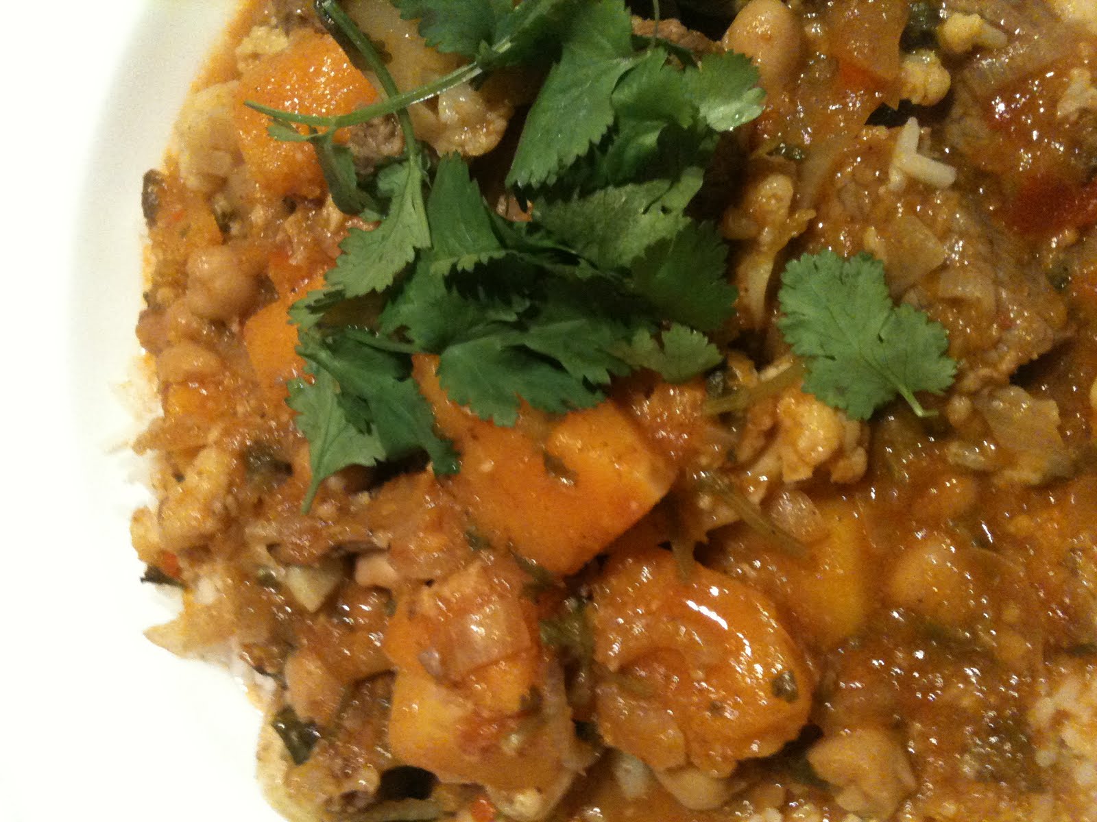 Lisa's Little Library Jamie Oliver's Curry Rogan Josh (with lamb) and