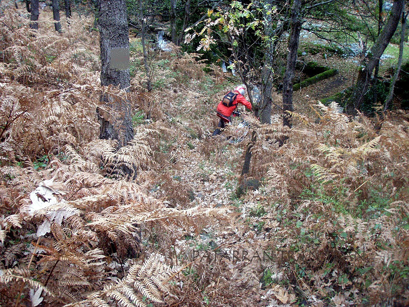 Cota 315r: Trial Excursión con nevada incluida