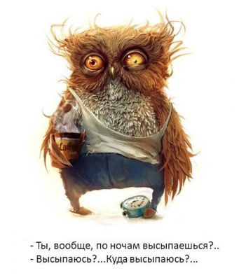 Машина времени кошка