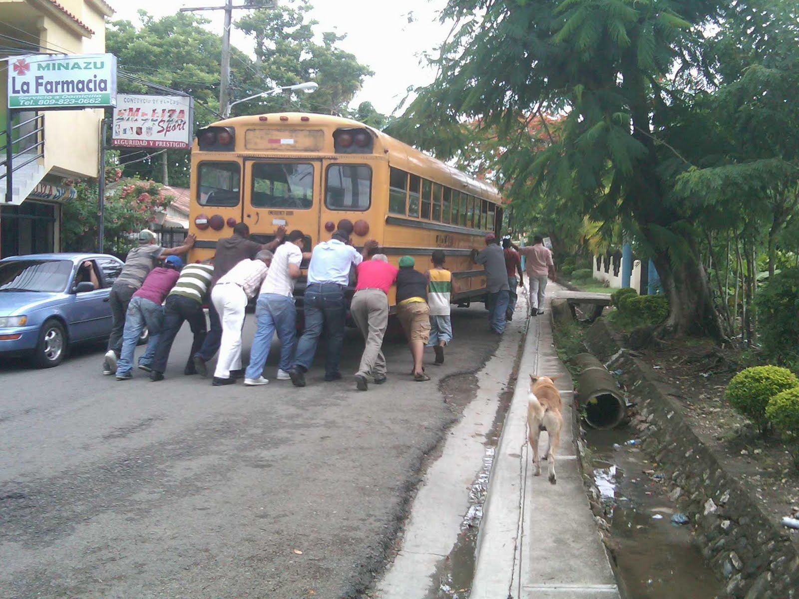 D' MOCA PARA EL MUNDO GUAGUA