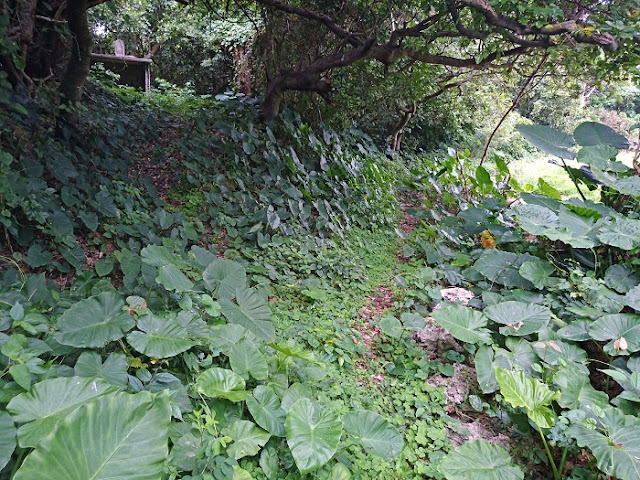 仲間グスク 仲間グスクの写真