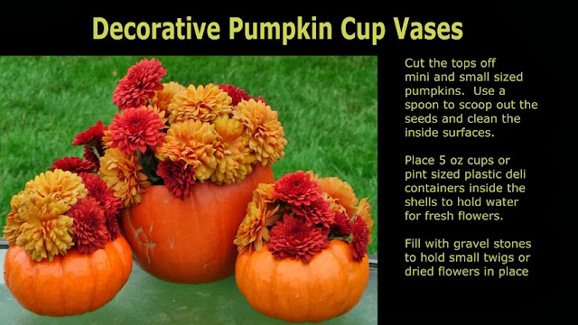 Make a dozen fun items using pumpkins...Annie Lang will show you how!