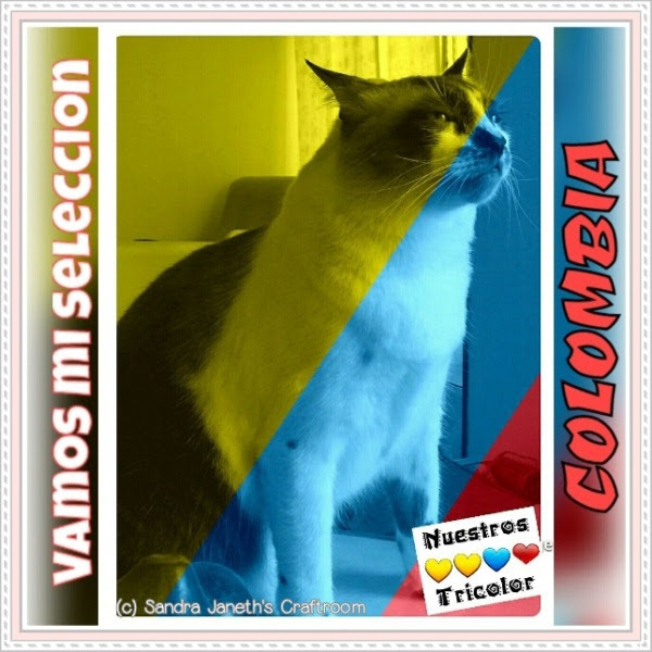 Selección Colombia, Gatos