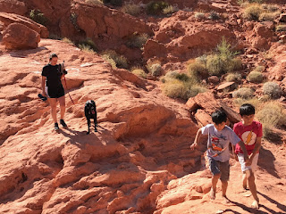 Fun staycation or homeschool field trip in the las vagas area! Valley of Fire state park.