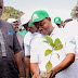 Afforestation: 10M Bribery Allegation Rocks Taraba Ministry of Environment