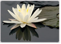 thai massage østjylland massageklinik århus thai massage østjylland massageklinik århus