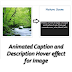 Animated Caption and Description Hover Effect for Blogger Images