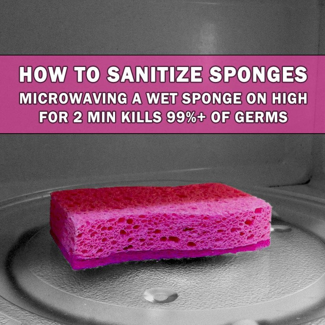 20 Genius Hacks That Will Help You Clean Anything You Can Imagine! - Sponge Sanitzer