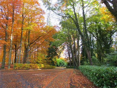 Powerscourt House & Gardens