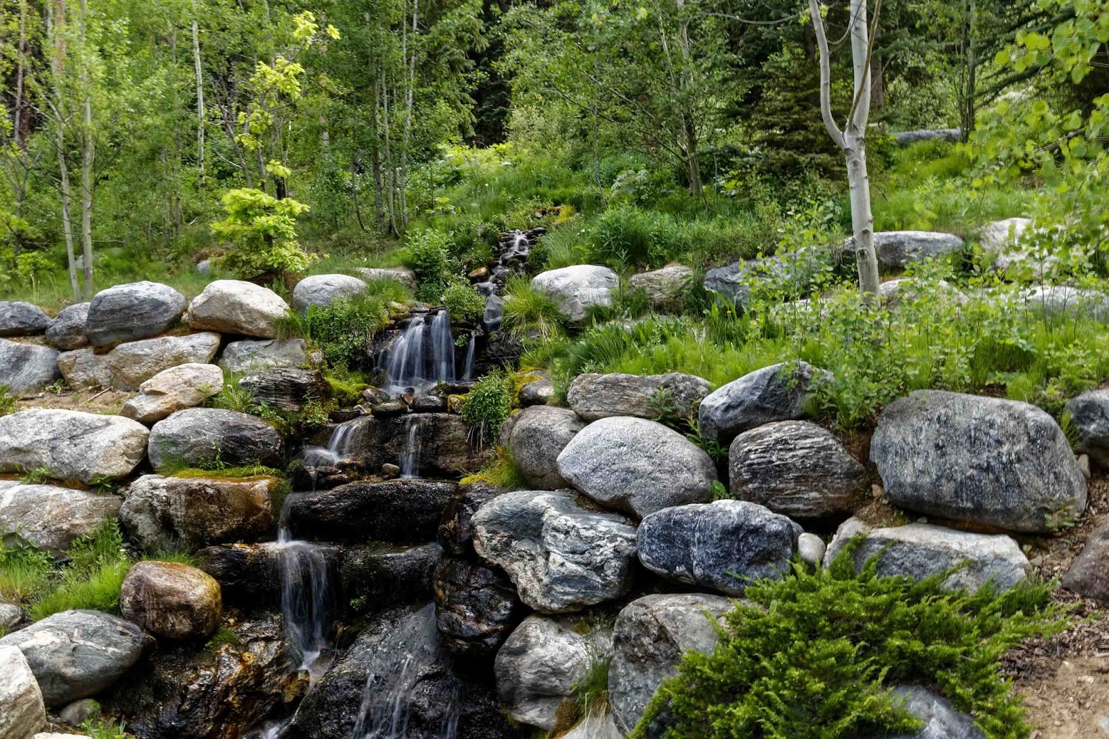 Breckenridge Real Estate High Country Conservation Center, Middle Park
