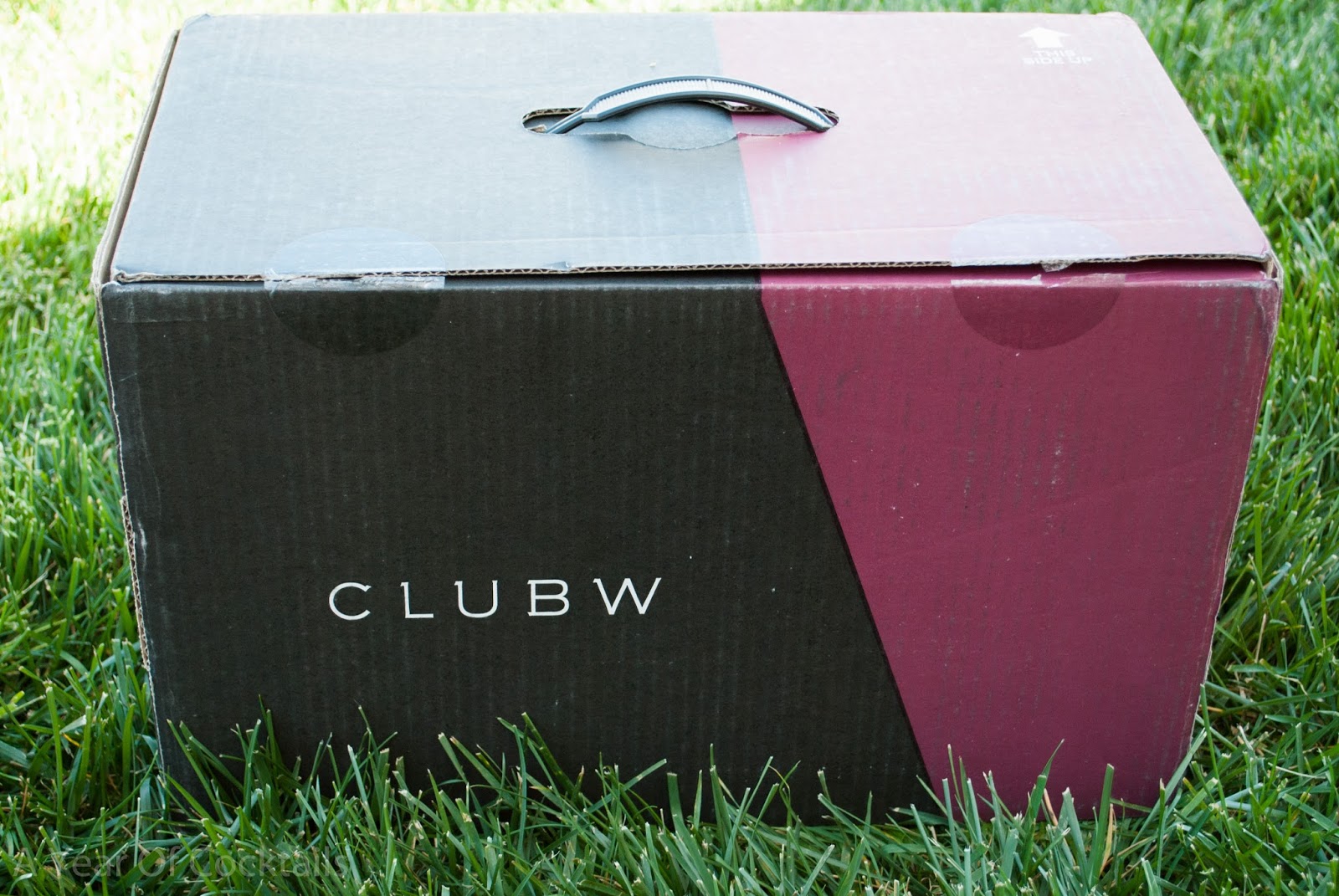 Club W Wine Club A Year of Cocktails