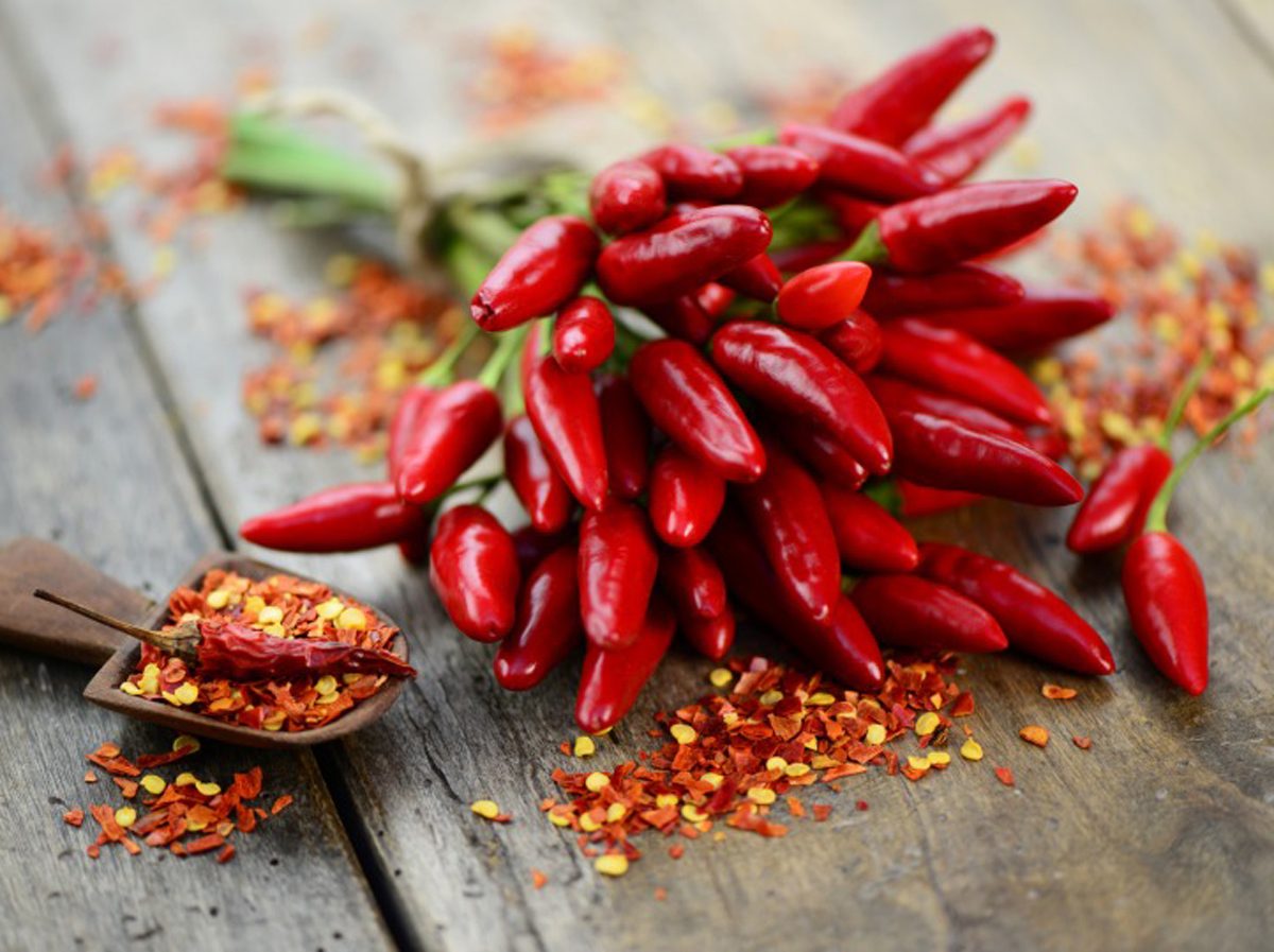 La Salute Vien Mangiando Gli effetti del peperoncino sulla salute La Salute Vien Mangiando Gli effetti del peperoncino sulla salute
