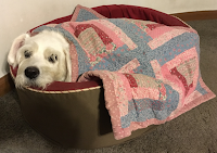 Suki Roth resting in her bed.