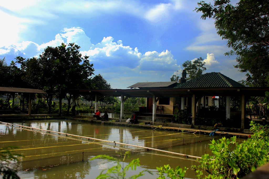 Tempat pemancingan terbaik di Kota Bandung Ahlinya Umpan