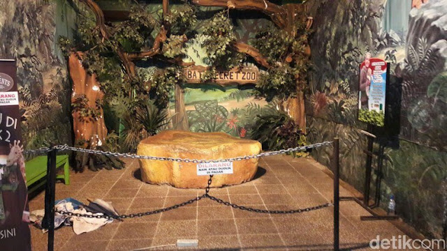 Ilustrasi tempat seorang bocah diterkam harimau di Batu Secret Zoo. Foto : Detik. https://news.detik.com/berita-jawa-timur/d-3447603/ini-kronologi-bocah-tk-diterkam-harimau-di-jatim-park-ii