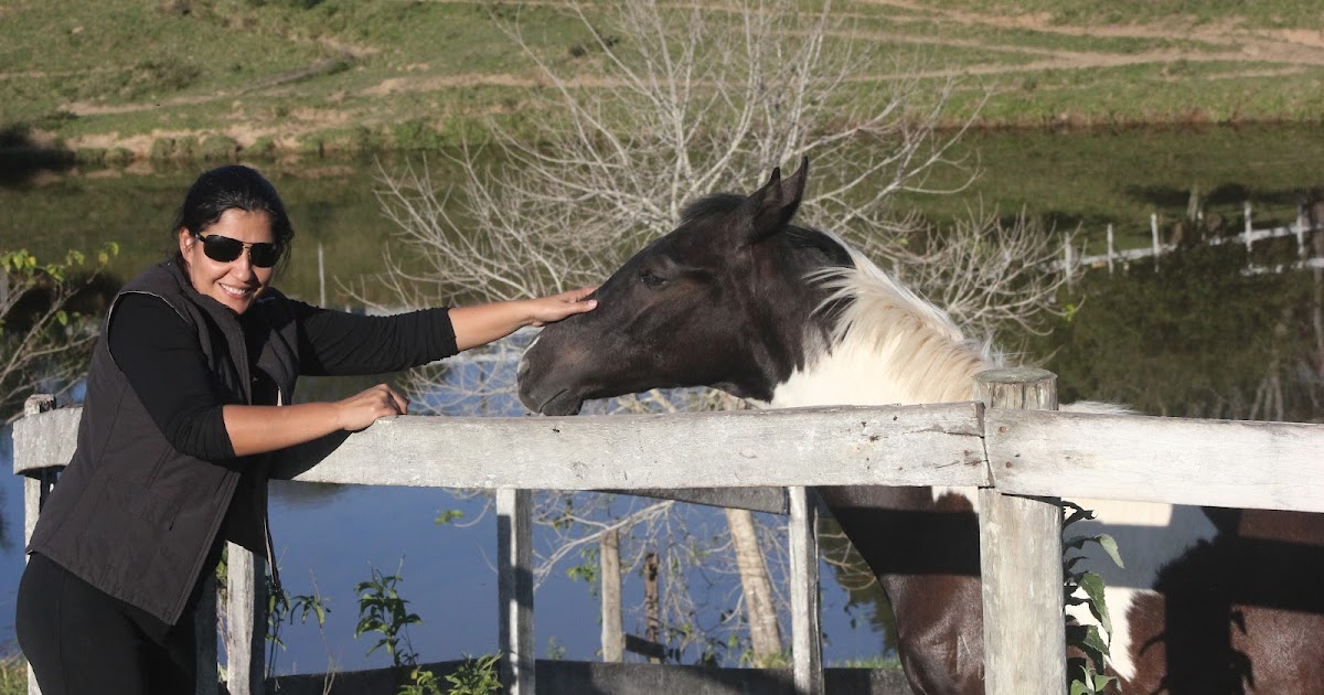 Cavalo Marchador e Companhia