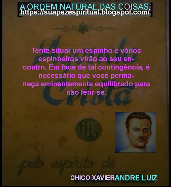 DIARIO CRISTÃO (43)-andre luiz