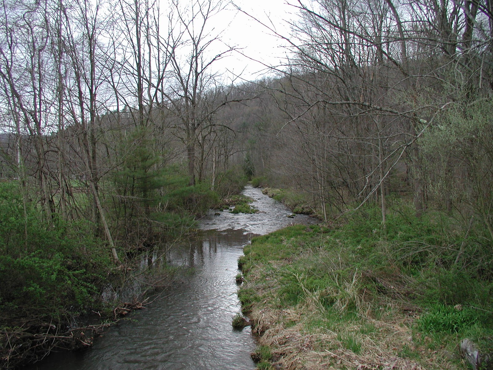 Central Pennsylvania Forestry DCNR, DEP Offering Grants to Plant Trees
