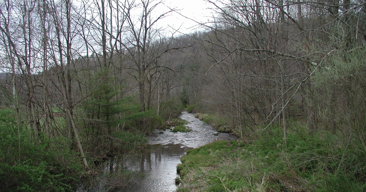 Central Pennsylvania Forestry DCNR, DEP Offering Grants to Plant Trees