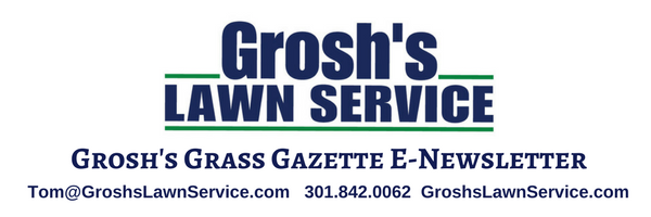 Groshs Lawn Service Grosh S Grass Gazette E Newsletter Winners