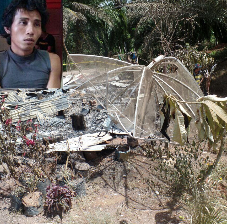 78 Gambar Babi Dibakar Terlihat Keren 78 Gambar Babi Dibakar Terlihat Keren