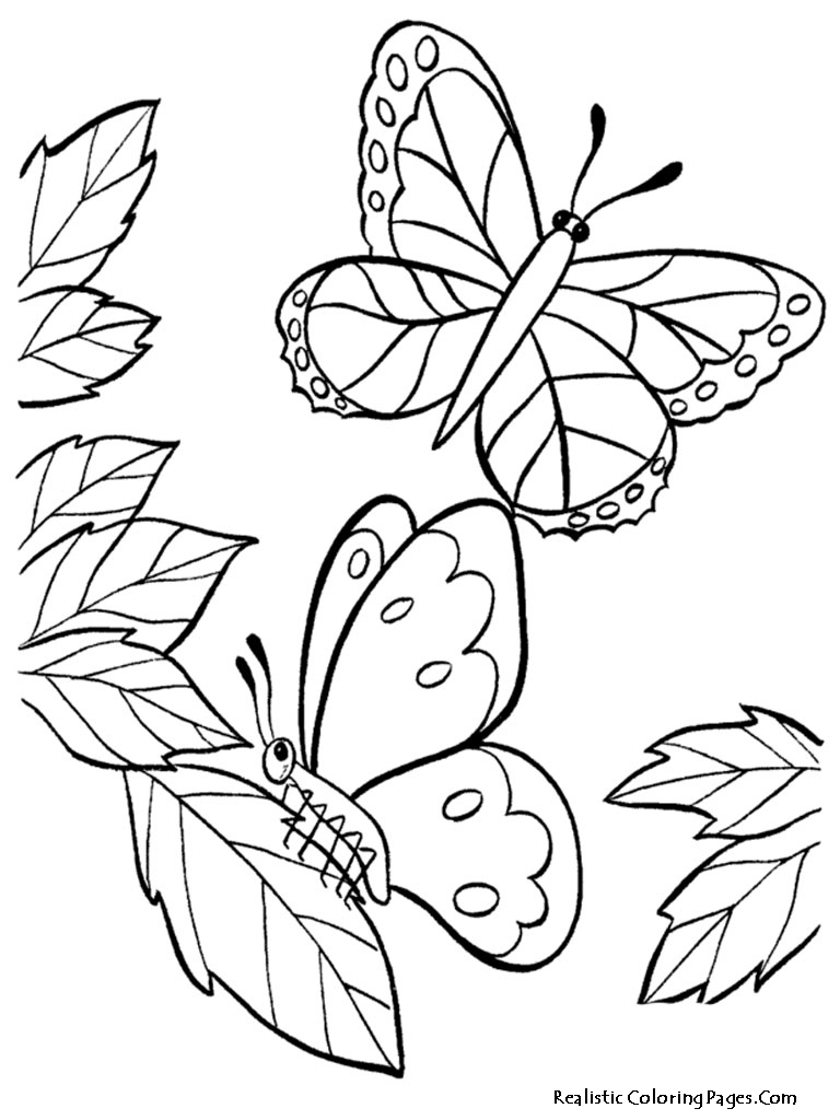 Realistic Butterfly Coloring Pages | Realistic Coloring Pages