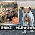 【HOPE 希望护生园 】3000多只狗狗在等着你!你的善心可改变狗狗的命运!