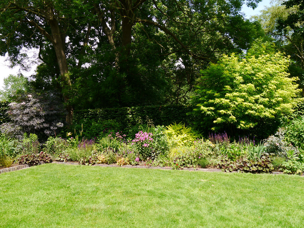 GartenImpressionen GARTEN MOORRIEM SOMMER IN DER WESERMARSCH