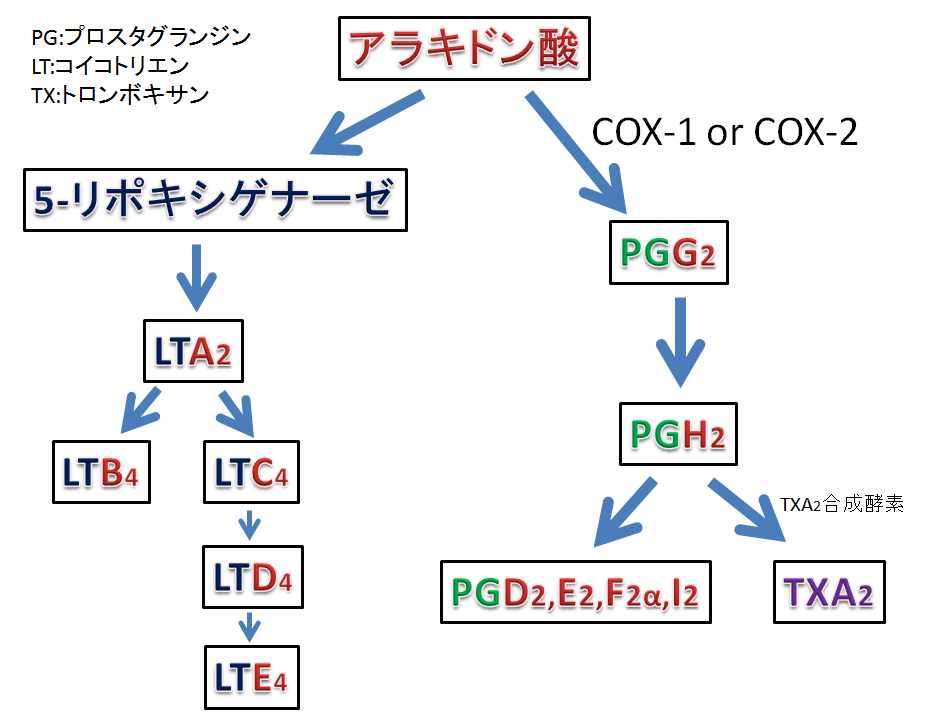 COX2選択性NSAIDsとアスピリン喘息薬局業務NOTE