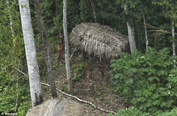 Pueblo indígena aislado