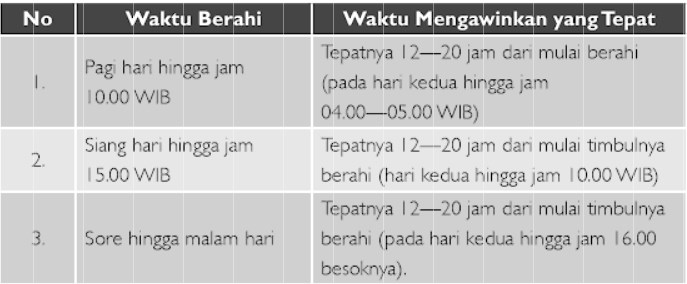 Hal Yang Perlu Diperhatikan Saat Mengawinkan Kambing Sukses Ternak Kambing