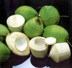 manfaat buah kelapa