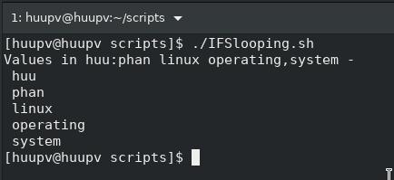 bash script use IFS in context of for looping