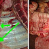 Carne com tuberculose é impedida de ir para o consumo humano na Bahia