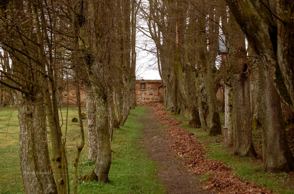 Stoczek Klasztorny, barkokowy ogród