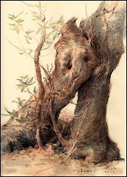 gouache tree drawing drawings virtual gnarled watercolor painting sketch wash bay land artist trunks trees journal sepia pencils california artists