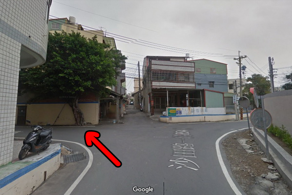 台中大肚中東海棗田、落羽松森林,壯觀挺拔又整齊像隧道,漂亮好拍 台中大肚中東海棗田、落羽松森林,壯觀挺拔又整齊像隧道,漂亮好拍
