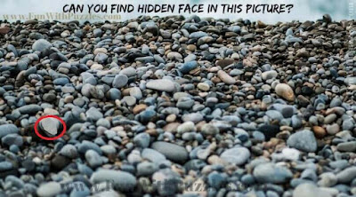 Answer of Picture Picture containing hidden face