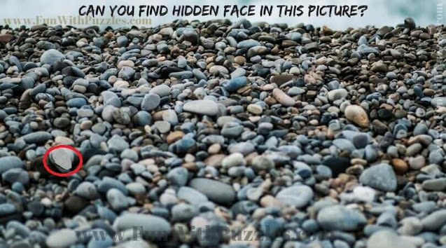 Answer of Picture Picture containing hidden face
